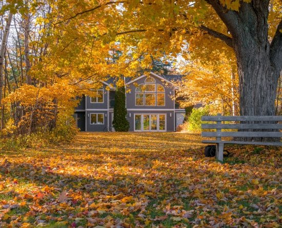 Comment nettoyer son jardin avec un souffleur de feuille ? 4