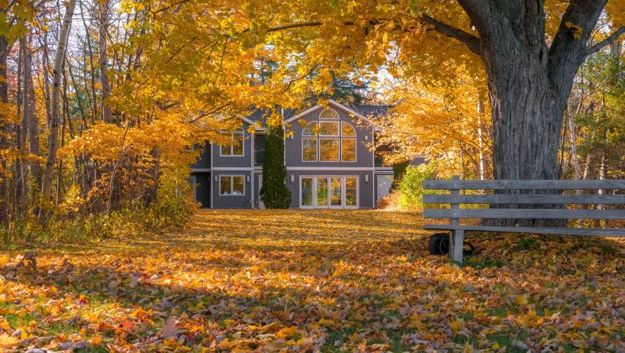 Comment nettoyer son jardin avec un souffleur de feuille ? 12